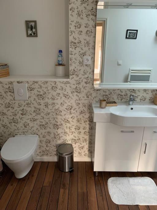 Appartement Duplexcoeur De Ville Metz Eksteriør billede
